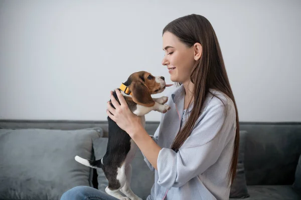 Propietario de mascotas con un lindo perrito en casa —  Fotos de Stock