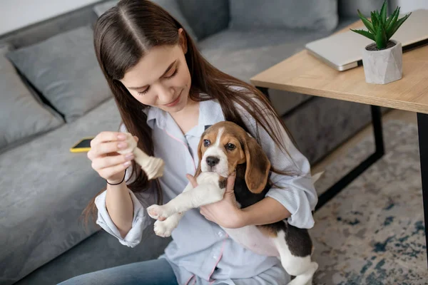 Egy kép egy fiatal nőről egy aranyos kis beagle-lel. — Stock Fotó