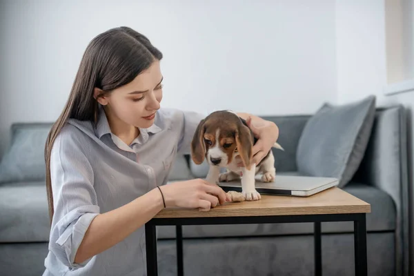 Egy kép egy fiatal nőről egy aranyos kis beagle-lel. — Stock Fotó