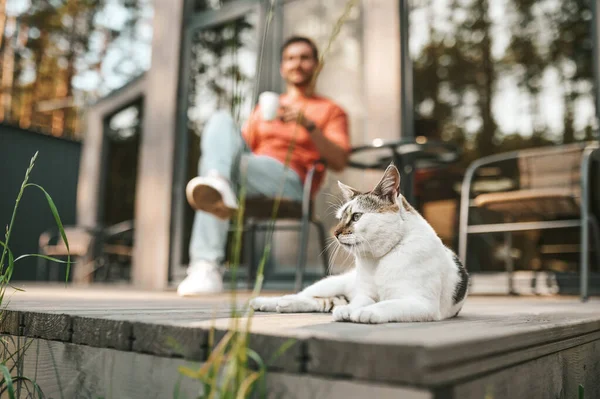 Liegende Katze auf Veranda und Mann trinkt Tee dahinter — Stockfoto