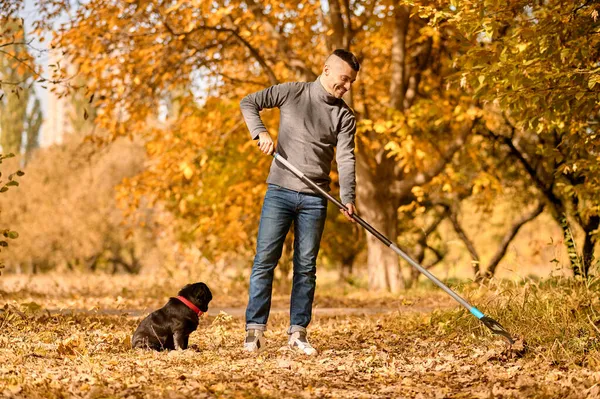 公園で熊手を持つ男彼の隣に座っている犬 — ストック写真