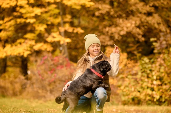 Uma garota bonita alimentando seu cão no parque — Fotografia de Stock