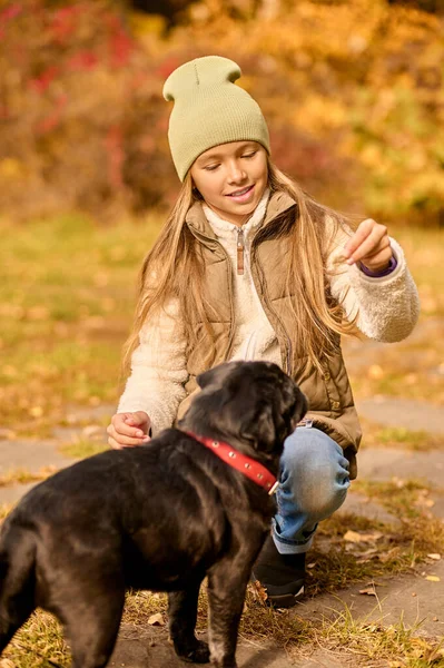 Une jolie fille nourrit son chien dans le parc — Photo