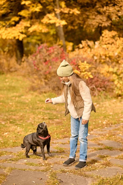 公園で彼女の犬と遊んでかわいい女の子 — ストック写真