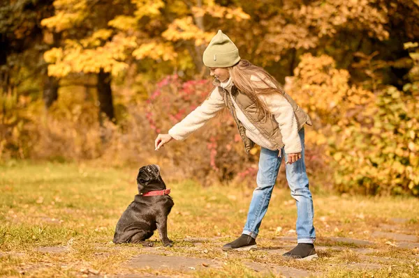 A girl in warm clothes playing with a dog in the park — Stock Photo, Image