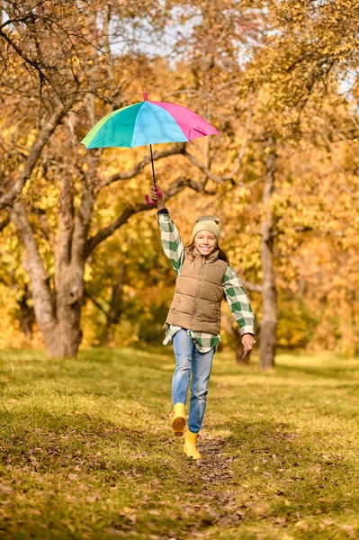 Una chica con un paraguas brillante en un parque de otoño — Foto de Stock