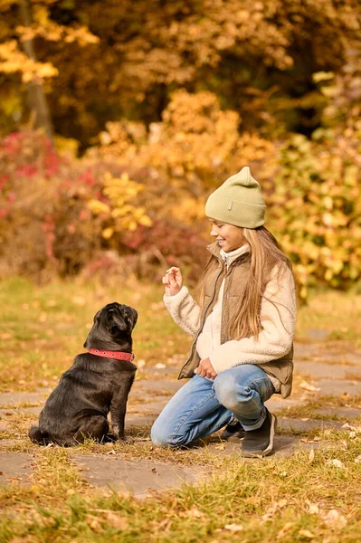 Una ragazza carina che nutre il suo cane nel parco — Foto Stock
