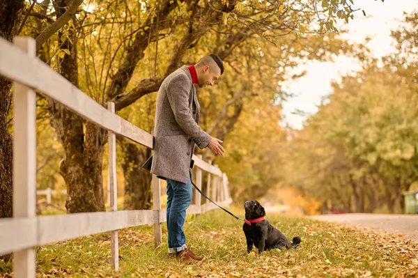 黄色の葉の後ろに男と彼のペット — ストック写真