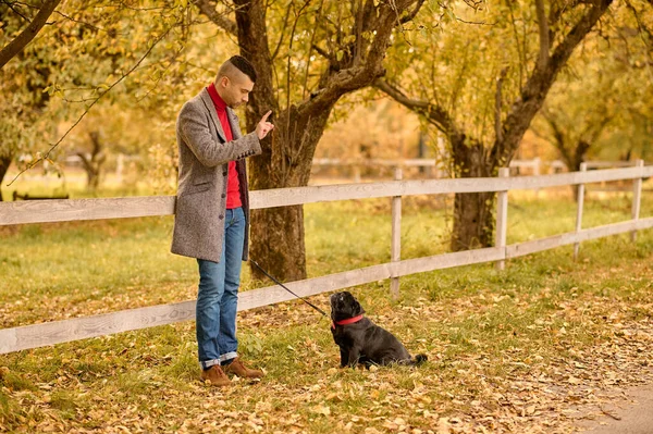 Un homme et son animal de compagnie sur le fond de feuilles jaunes — Photo