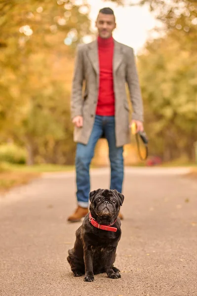 Um dono de um animal de estimação na caminhada com seu amigo — Fotografia de Stock