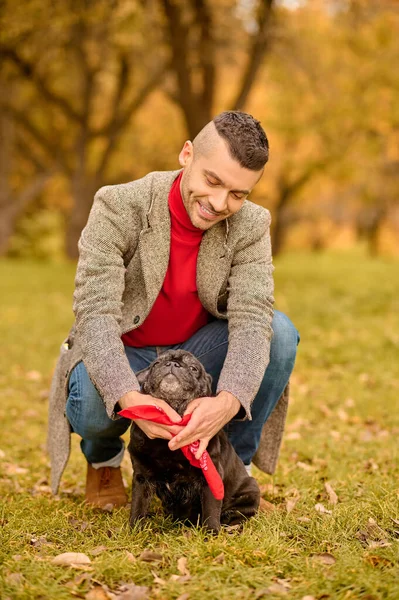 Um dono de animal de estimação colocando a coleira de cachorro em seu cão — Fotografia de Stock