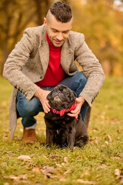 Ein Tierbesitzer legt seinem Hund das Hundehalsband an — Stockfoto