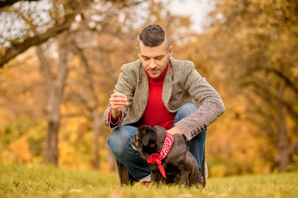 Un jeune homme avec son animal de compagnie dans le parc d'automne — Photo