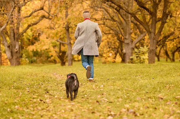 秋の公園でペットと一緒にいる若い男 — ストック写真