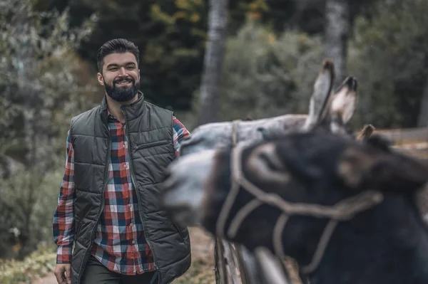 Agricultor barbudo de pé perto do burro em uma caneta de gado — Fotografia de Stock