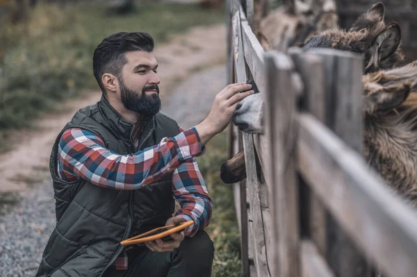 Egy szakállas ember egy táblával a kezében egy marhatelepen. — Stock Fotó