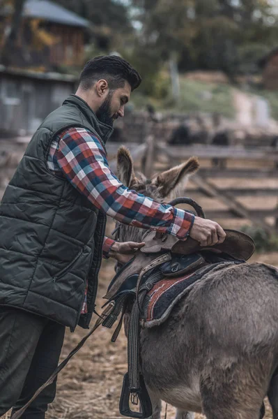 Ein dunkelhaariger Mann sattelt einen Esel — Stockfoto