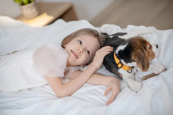Placid menina bonita acariciando seu beagle — Fotografia de Stock