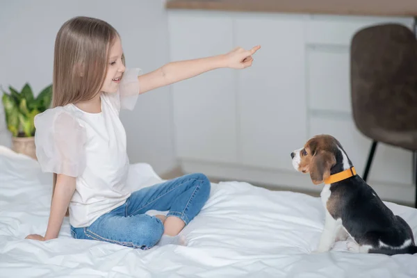 Agradable niña practicando un nuevo comando con un cachorro —  Fotos de Stock