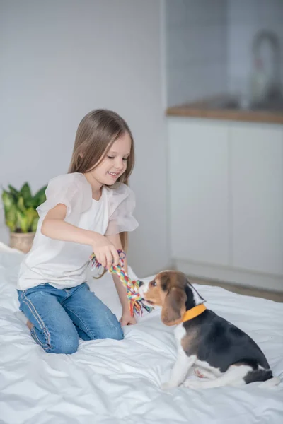 Женщина-ребенок с помощью веревочной игрушки во время тренировки собаки — стоковое фото