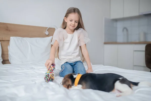 Boldog női gyermek játszik a beagle — Stock Fotó