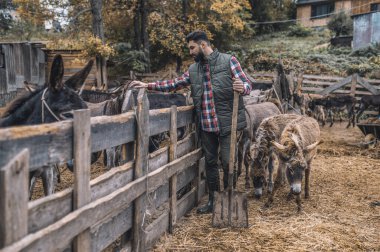 Çiftçi çiftlikte daha saldırgan hayvanlar görüyor.