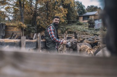 Organik çiftlikte çalışan çiftçi.