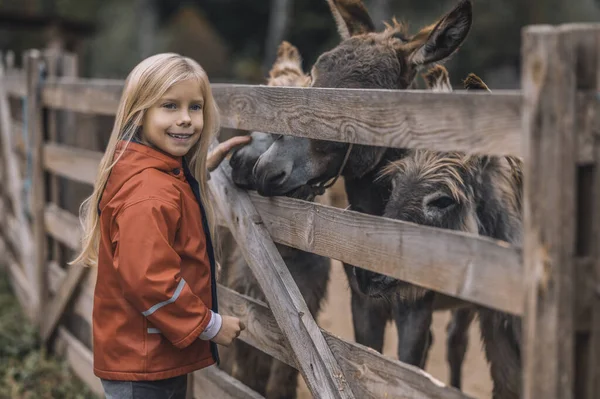 Uma menina loira de pé perto do gado-caneta com donkyes e sorrindo — Fotografia de Stock