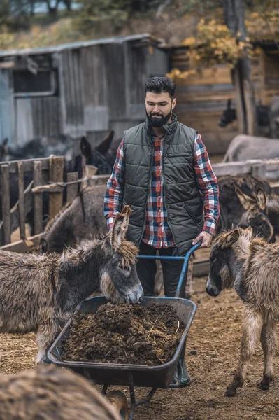 Сільськогосподарський вагон з гною після очищення корівки — стокове фото