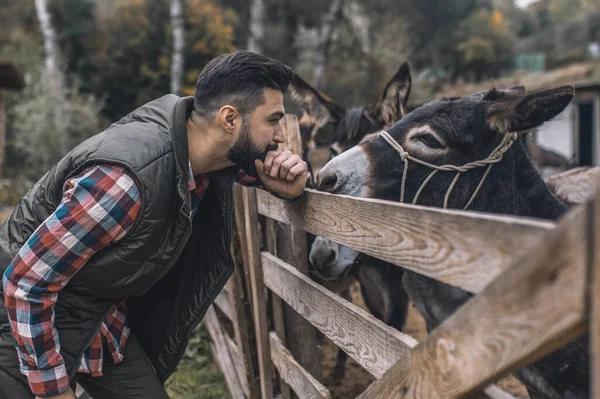 Σκούρα μαλλιά farmaer στέκεται κοντά στο στάβλο με γαϊδούρια — Φωτογραφία Αρχείου