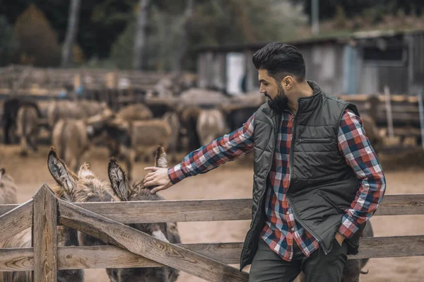 A farmer in the black vest and a plaid shirt standing near the cattle-pen