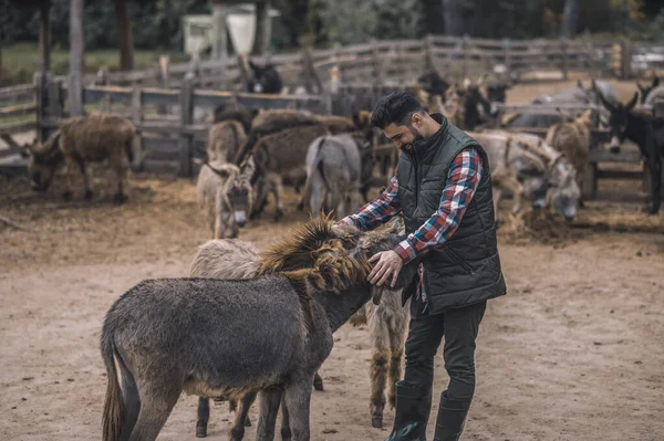 Egy farmer az állataival a keretben. — Stock Fotó