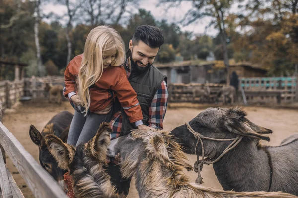 Farmer és a fia állatokkal töltik az idejüket a marhatelepen. — Stock Fotó