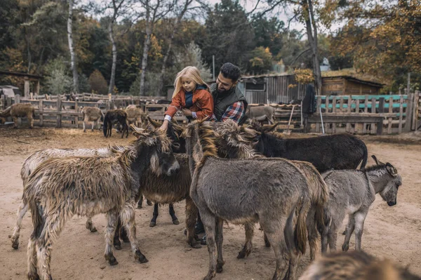 Agricultor e seu filho passar o tempo com animais na pecuária — Fotografia de Stock