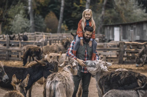 Farmer és a fia állatokkal töltik az idejüket a marhatelepen. — Stock Fotó
