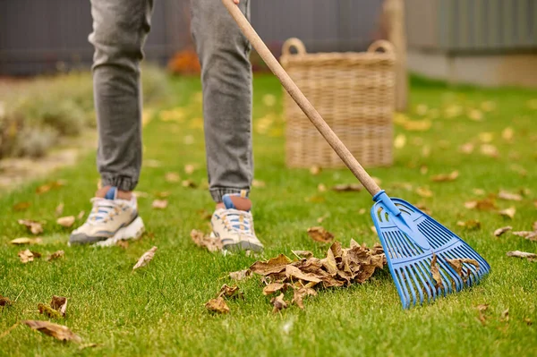 Male feet on lawn and rake near leaves — стоковое фото