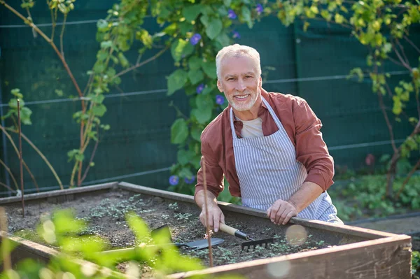 Grijsharige tuinman harkt de grond en ziet er druk uit — Stockfoto