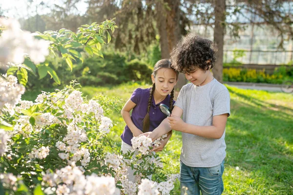 Twee tieners onderzoeken een groep bloemen in het park. — Stockfoto