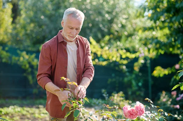 Un hombre que parece ocupado mientras trabaja en el jardín — Foto de Stock