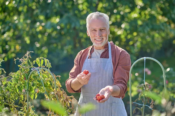 Mature man in burgundy shirt in the greenhouse — Stockfoto