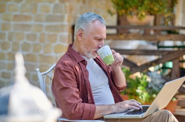 Gray-haired man sitting in a armchair and reading something online