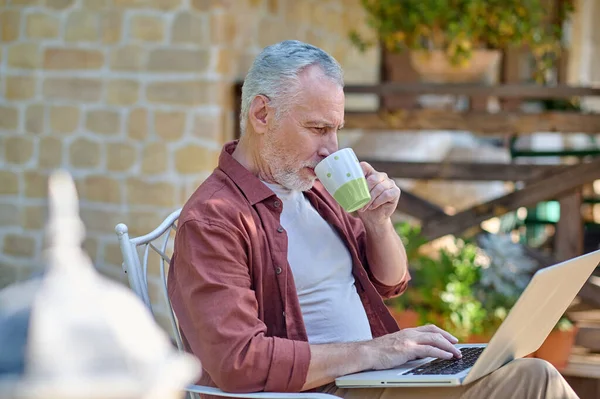 Gray-haired man sitting in a armchair and reading something online