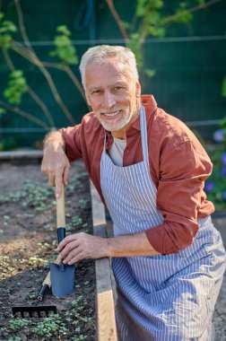 Gray-haired man looking busy while working in the garden