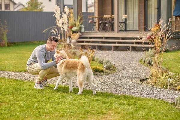 Man crouching touching looking at his dog outdoors — Fotografia de Stock