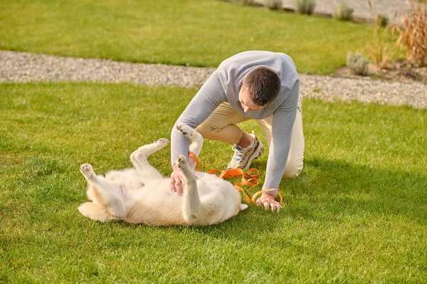 Man crouched playing with dog lying on his back