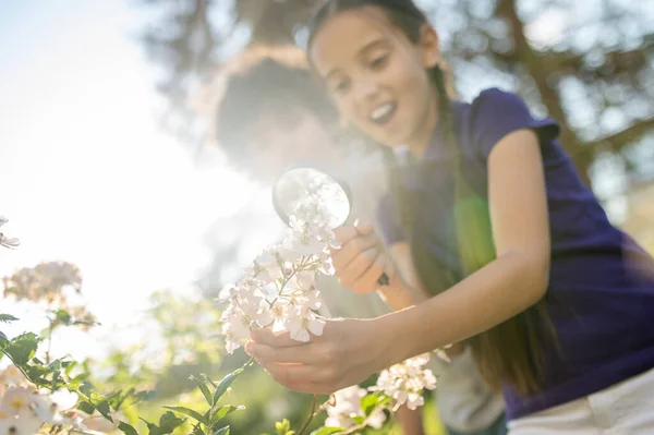 Діти досліджують скупчення квітів зі збільшувальним склом — стокове фото