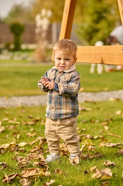 Little boy standing on lawn looking at camera — Stock Photo, Image