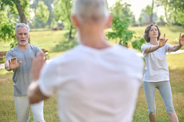 Medelålders människor som har yogaklass i parken — Stockfoto