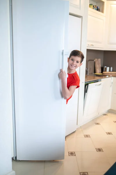Радостный мальчик позирует перед камерой на кухне — стоковое фото
