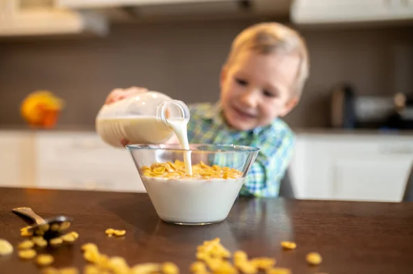 朝食のために冷たいオートミールを作る小さな男の子 — ストック写真